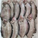 동대구수산 이미지