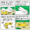 청춘다실 | 행복은 네 꼬리에 달려있는거야! 행복은 잡으려 하면 잡을 수 없지만, 꿈을 향해 달려가면 행복은 너를...