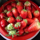 서주농장 이미지