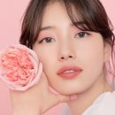 네일끌레르 이미지