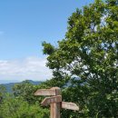 중앙초등학교후문 이미지