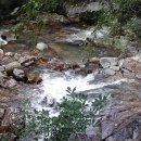 삼죽옻닭