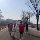 탄천로+탄천대교로 이미지