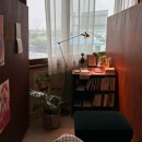 고산의낮고산의밤 | [제주] 한경면 혼자여행 1인 북카페 추천 "고산의낮 고산의밤"
