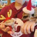 마리앤쥬 이미지