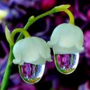 ﻿감동글 모음음 이미지