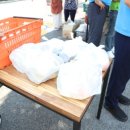 장애인권익지원협회 고양시지부 이미지