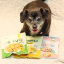 좋은강아지 | 노견 강아지 간식 추천으로 좋은 듀먼 저칼로리 다이어트 간식 후기