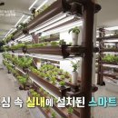 [MBC 다큐프라임] 도심 한복판에 뿌리내린 도시 농업의 가능성!, MBC 221113 방송 이미지