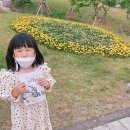 피아니스트가 들려주는 동화이야기 IV 신데렐라 | 피아니스트가 들려주는 동화이야기 <신데렐라>