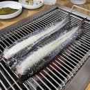 고창살아있는산풍천민물장어