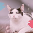 나만 없어 고양이 이미지