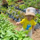 아이숲유치원 | [세종 숲유치원] 숲 유치원 자원봉사! (아이들이 뛰어놀 숲 정비 후기)