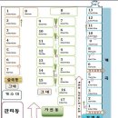 계곡과느티나무 캠핑장 이미지