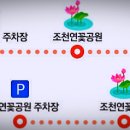 번암리 조천연꽃공원1 이미지