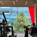 오리역 | 짐박스 오리역 일일권 사용후기(내돈내산)