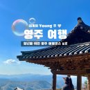 석등포장마차 | 경북 영주 가볼만한곳 1박2일 여행코스 / 부석사, 출렁다리, 랜떡 등 ♥