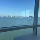 지움의원 | 1월🌈별 걸 다 함 모음.zip