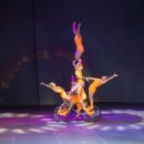 서커스 빌딩 이미지