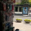 뷰티펫하우스 이미지