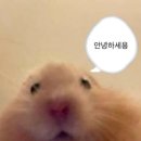 웅's | 삼성 투도어냉장고 RT25FARA2S9 내돈내산 후기(+전기세)