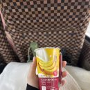 소소감성 | 소소버스투어 유후인 당일치기 후기 버스타고 떠나는 감성 여행