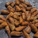 참존농장 이미지