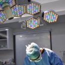 더힐동물의료센터 이미지