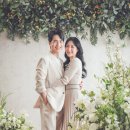 스튜디오더블유더블유 이미지