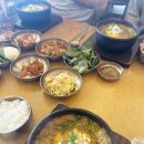 산동흑염소 이미지