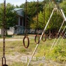 그린피스