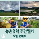 노동초등학교 | 보성 농촌유학 주간일기 5월 첫째주 / 보성 작은학교 연합운동회 / 백남기 농민 밀밭길 축제 / 어린이날...