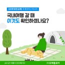 국내여행 갈 때, 가입 필수! 국내여행자보험 30% 할인 이미지