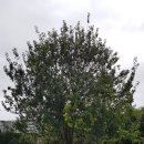 스마트폰 활용 컨설턴트 이미지