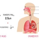 미세먼지 대처는?-국민안전처 이미지