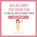 안성 공도 임신 중 소변이 자주 마려운 이유, 시기별 빈뇨 원인과 방광염 구분법
