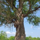 경기둘레길 이천37코스 이미지