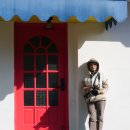 오늘경주 도리은행나무숲마을입니다. 이미지