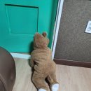 후니농장 이미지