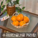 수지농장 | 제주 카라향 추천, 당도 높은 수지네단귤내귤 카라향 후기