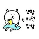 카토리존 | 있는 힘을 다해 기억하기