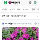축제-비사벌 문화제 이미지