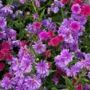 워낭육회 이미지