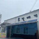 토실배기 이미지