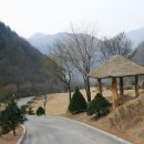 H8188 Daum카페