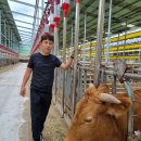 김정태 농장 이미지