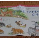 우리 아이 첫 책놀이 이미지
