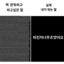 둠바 이미지