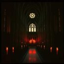 트럼프가 원하는 게 뭐야? dark pop 이미지