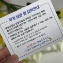 [낭만기러기] 기러기초란으로 만든 수제쿠키, 기러기알 후기
